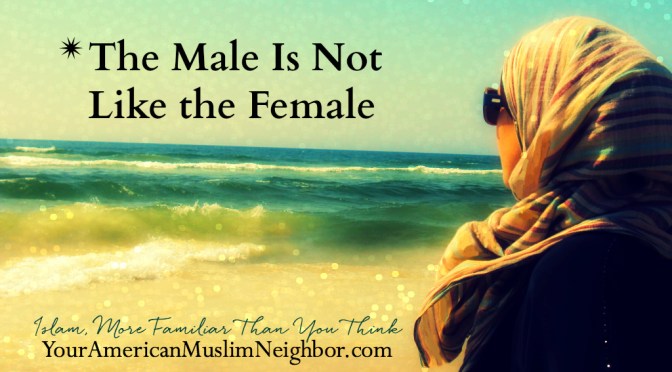 The Male Is Not Like the Female